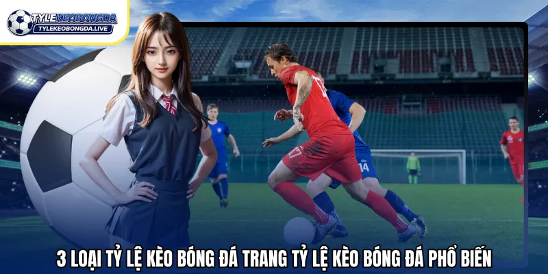 3 loại tỷ lệ kèo bóng đá trang tỷ lệ kèo bóng đá phổ biến