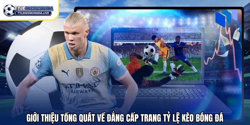 Giới thiệu tổng quát về đẳng cấp trang tỷ lệ kèo bóng đá
